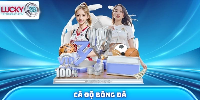 Cá Độ Bóng Đá