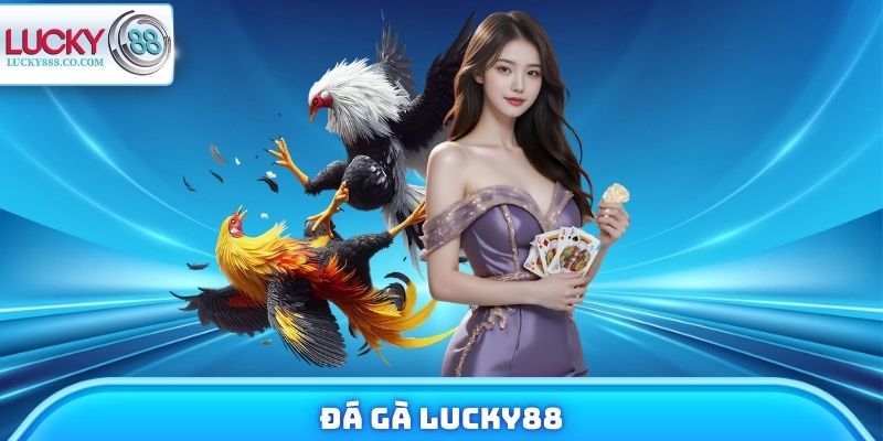 Đá Gà Lucky88