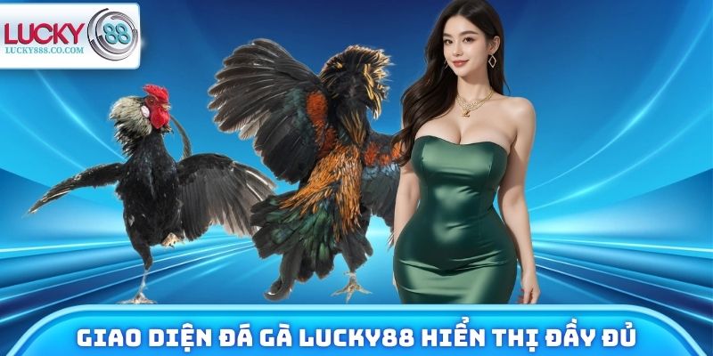 Giao diện đá gà Lucky88 hiển thị đầy đủ tính năng