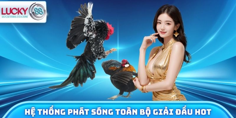 Hệ thống phát sóng toàn bộ giải đấu hot