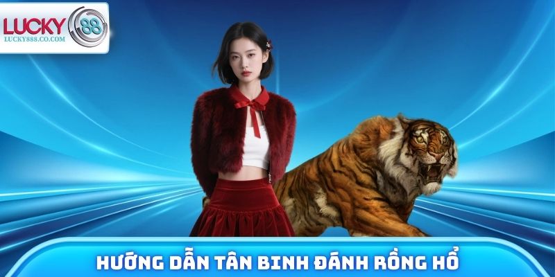 Hướng dẫn tân binh đánh rồng hổ