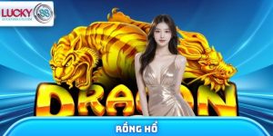 Rồng Hổ